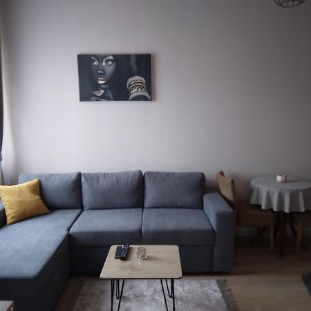Gray Apartament 2 普里什蒂纳 外观 照片