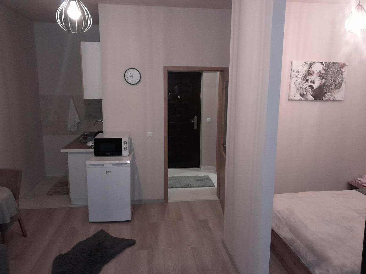 Gray Apartament 2 普里什蒂纳 外观 照片