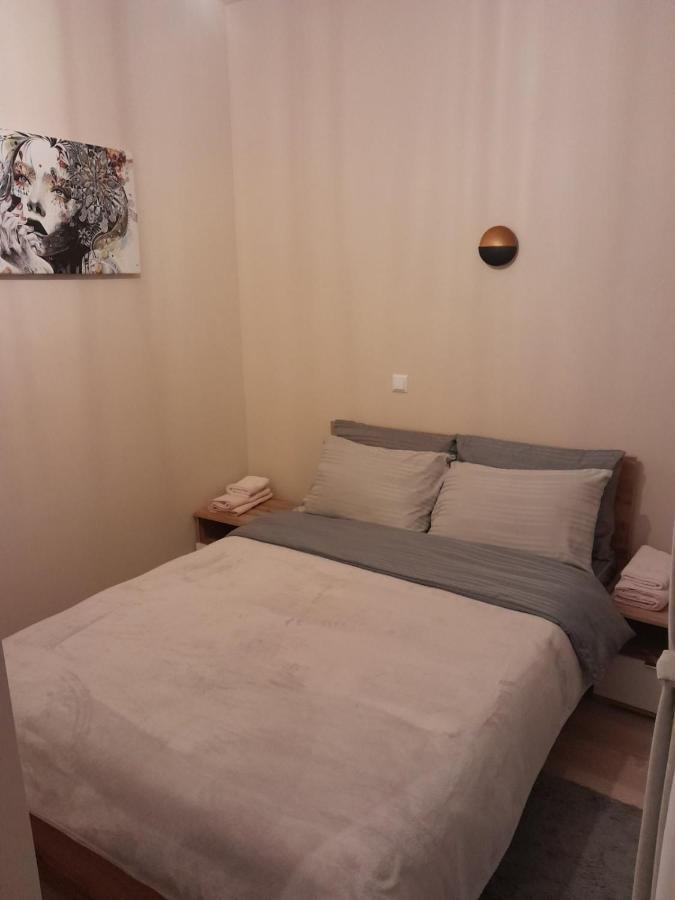 Gray Apartament 2 普里什蒂纳 外观 照片